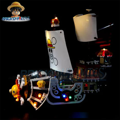 Thousand Sunny RC Lighting Kit